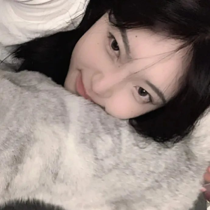 猎狐娇娃